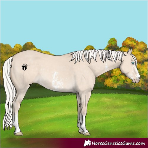 Horse Color:Silver Smoky Creme Dun Sabino 