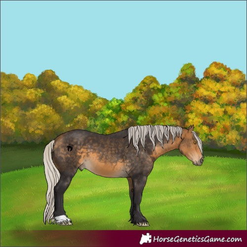 Horse Color:Silver Buckskin