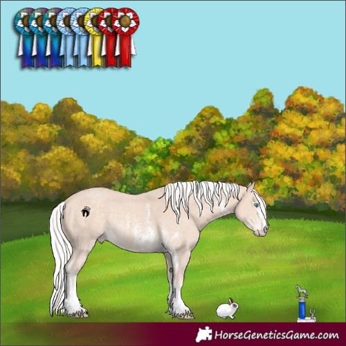 Horse Color:Silver Perlino Sabino 