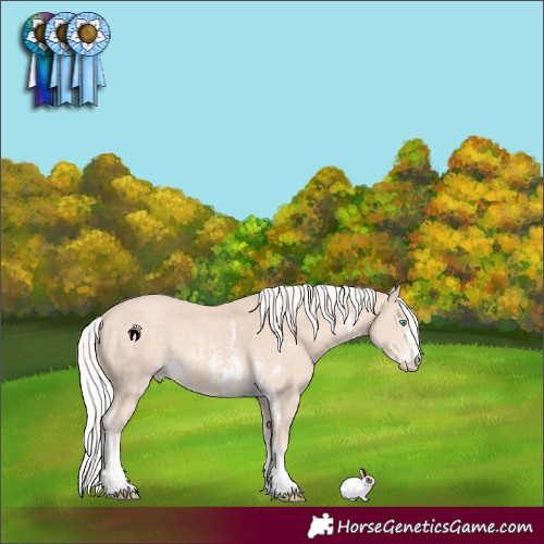 Horse Color:Silver Perlino Sabino 