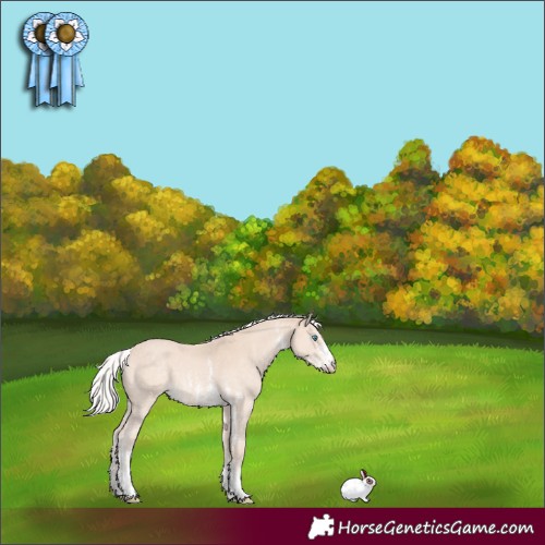 Horse Color:Silver Perlino Sabino 