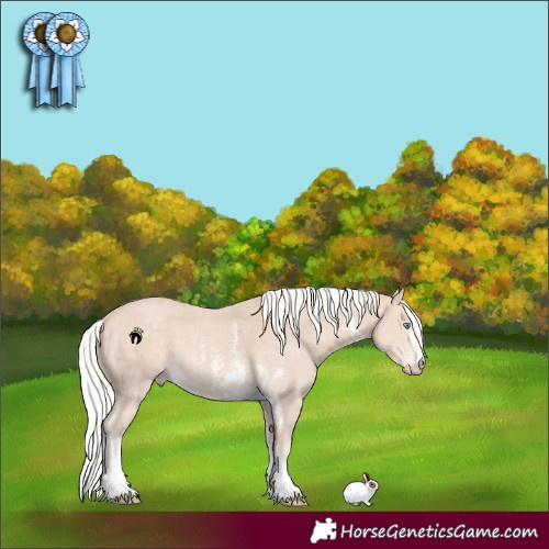 Horse Color:Silver Perlino Sabino