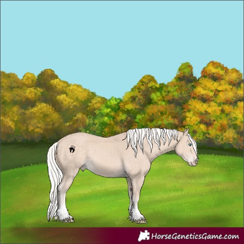 Horse Color:Silver Perlino