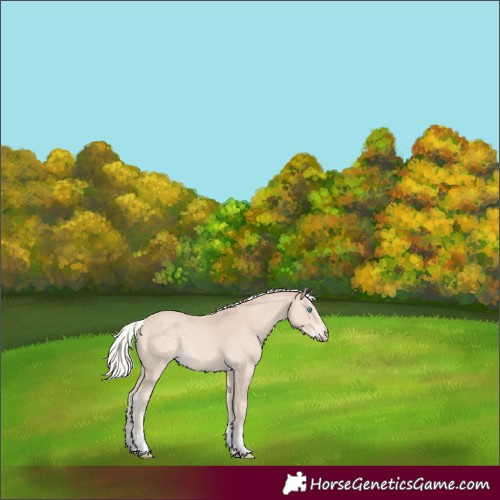 Horse Color:Silver Perlino 