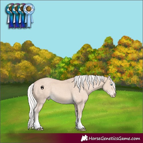 Horse Color:Silver Perlino 