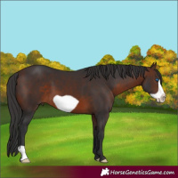 Horse Color:Brown Frame 
