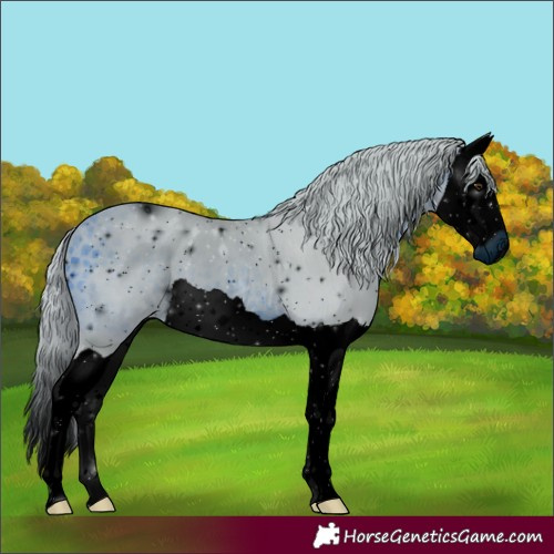 Horse Color:ERROR: UNKNOWN ANOMALY