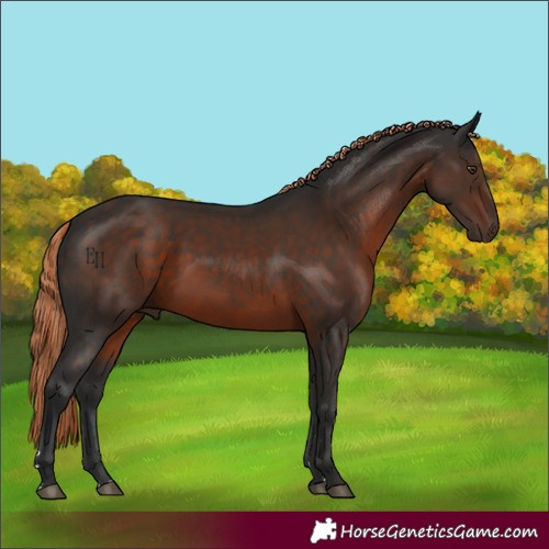 Horse Color:Liver Chestnut 