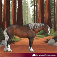 Horse Color:Silver Brown 