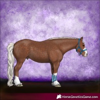 Horse Color:Silver Black 