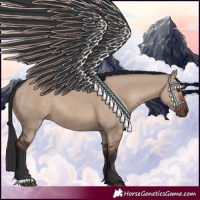 Horse Color:Liver Red Dun 