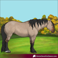 Horse Color:Liver Red Dun 
