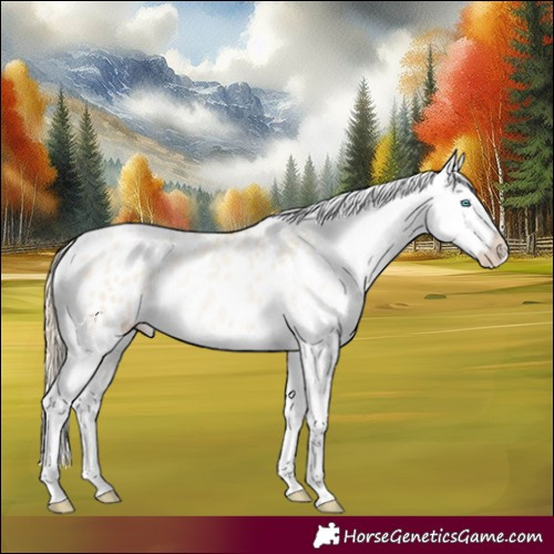 Horse Color:Smoky Grullo Pearl Blanket 