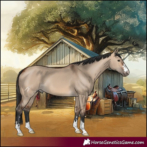 Horse Color:Bay Dun 