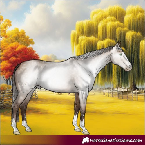 Horse Color:Gray Brown Pearl Dun 