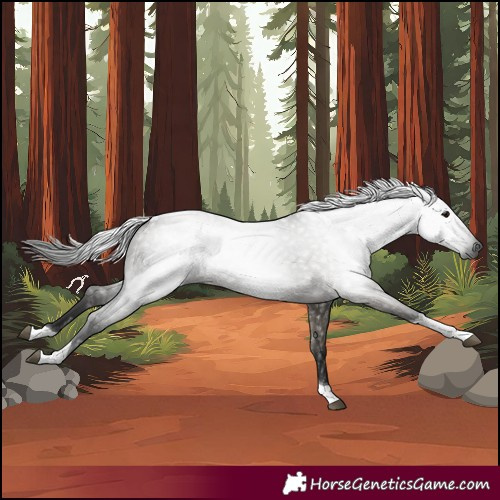 Horse Color:Gray Grullo Tobiano 