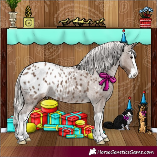 Horse Color:Silver Black Splash Appaloosa 