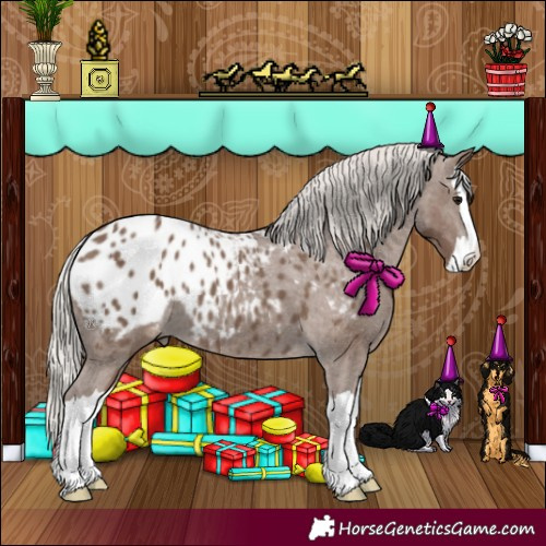 Horse Color:Silver Black Splash Appaloosa 