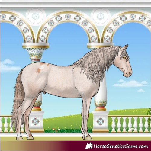 Horse Color:Gold Champagne Varnish 