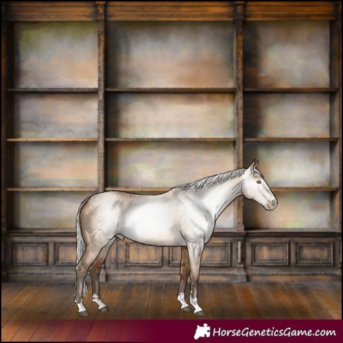Horse Color:Gray Silver Brown Pearl Dun 