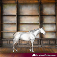 Horse Color:Gray Silver Brown Pearl Dun 