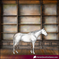 Horse Color:Gray Silver Brown Pearl Dun