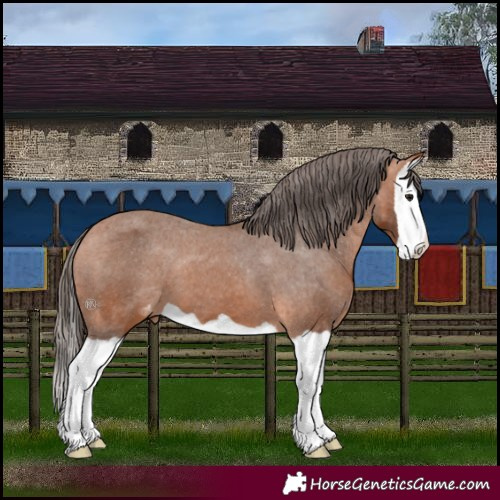 Horse Color:Bay Splash Varnish 