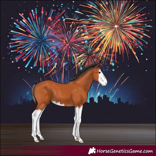 Horse Color:Bay Splash 