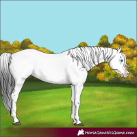 Horse Color:Black Frame 