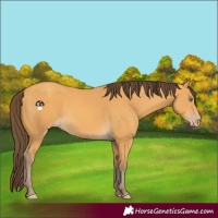 Horse Color:Amber Cream Champagne