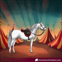 Horse Color:Black Frame 