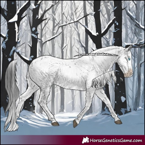 Horse Color:Black Frame 