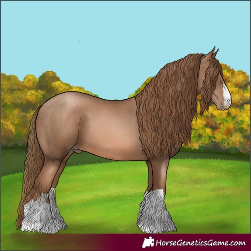 Horse Color:Liver Chestnut Pearl