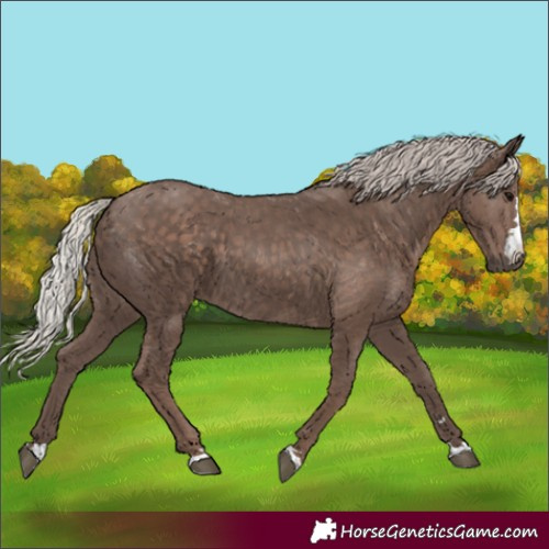 Horse Color:Silver Black 