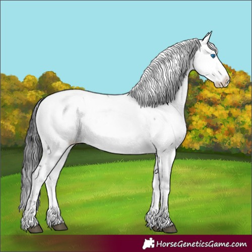 Horse Color:Black Frame 