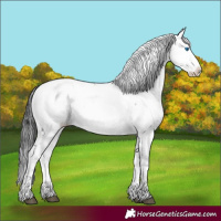 Horse Color:Black Frame 