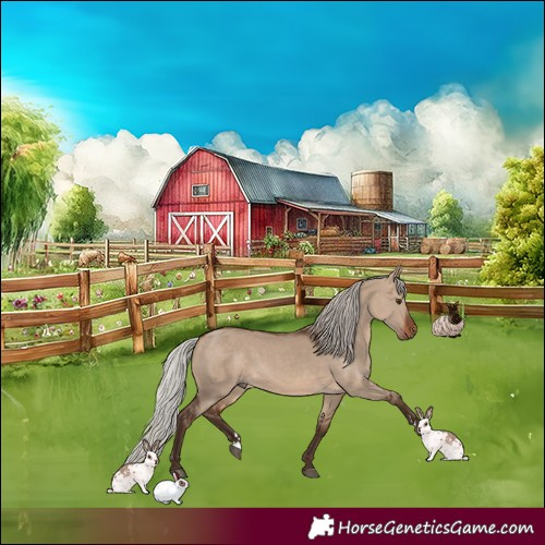 Horse Color:Silver Brown Dun 