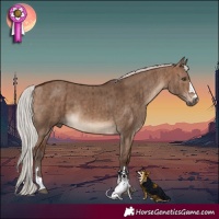 Horse Color:Silver Brown Dun Brindle 