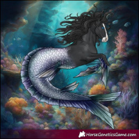 Horse Color:Black Splash Appaloosa 