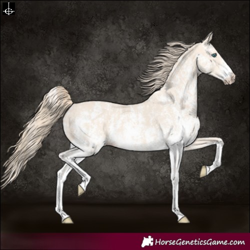 Horse Color:Perlino Sabino and Perlino Sabino