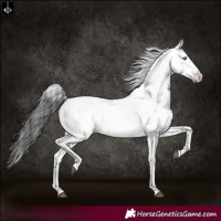 Horse Color:Black Frame