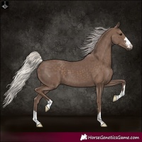 Horse Color:Silver Black