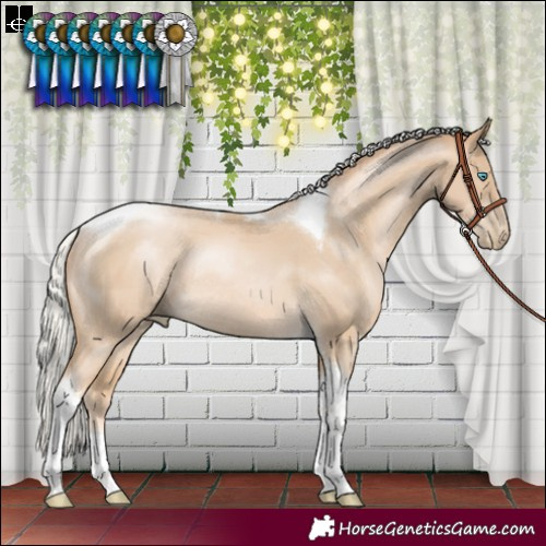 Horse Color:Silver Smoky Black Pearl Tobiano Rabicano