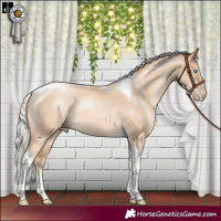 Horse Color:Silver Smoky Black Pearl Tobiano Rabicano 