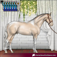 Horse Color:Silver Smoky Black Pearl Tobiano Rabicano 