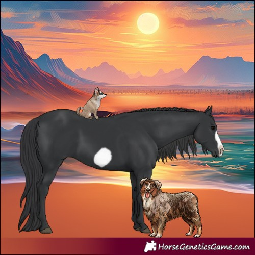 Horse Color:Black Frame 