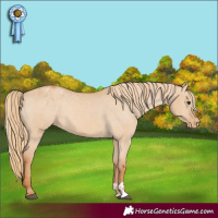 Horse Color:Red Dun Blanket  and Red Dun Blanket 