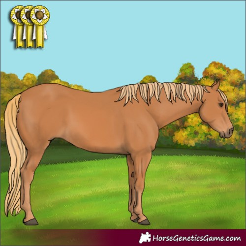 Horse Color:Chestnut 