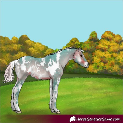 Horse Color:Watercolor White Spotted Silver Brown Onyx 