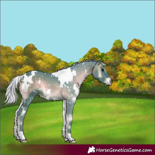 Horse Color:Watercolor White Spotted Silver Brown Onyx 